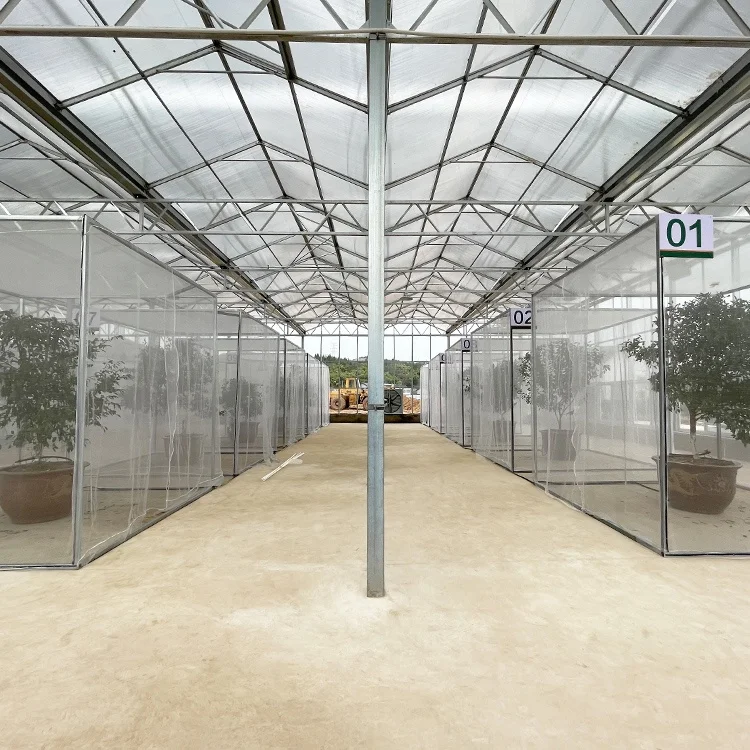 Seeding nursery rolling bench arch plastic film venlo type glass greenhouse for sale
