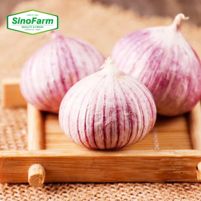 Fresh Normal White Garlic / Red Galic in 10kg/Carton with Different Size -Hot Sale !!!