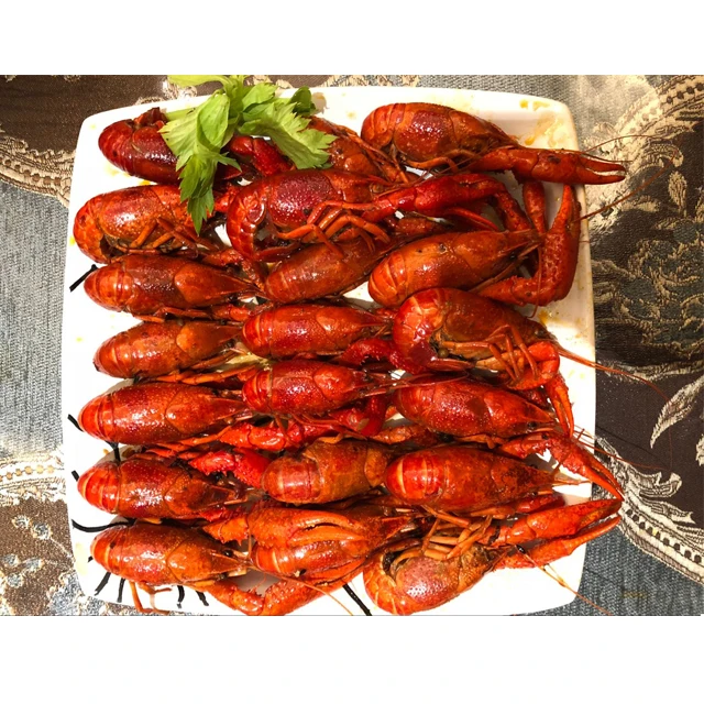 Red claw live frozen lobster(crayfish)  for sale