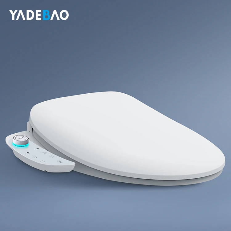 Modern High-end Smart Toilet Lid With Remote Control Bidet Seat
