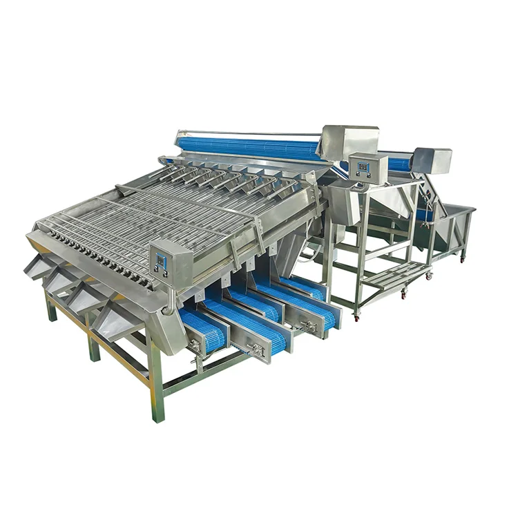Shrimp Grading Machine