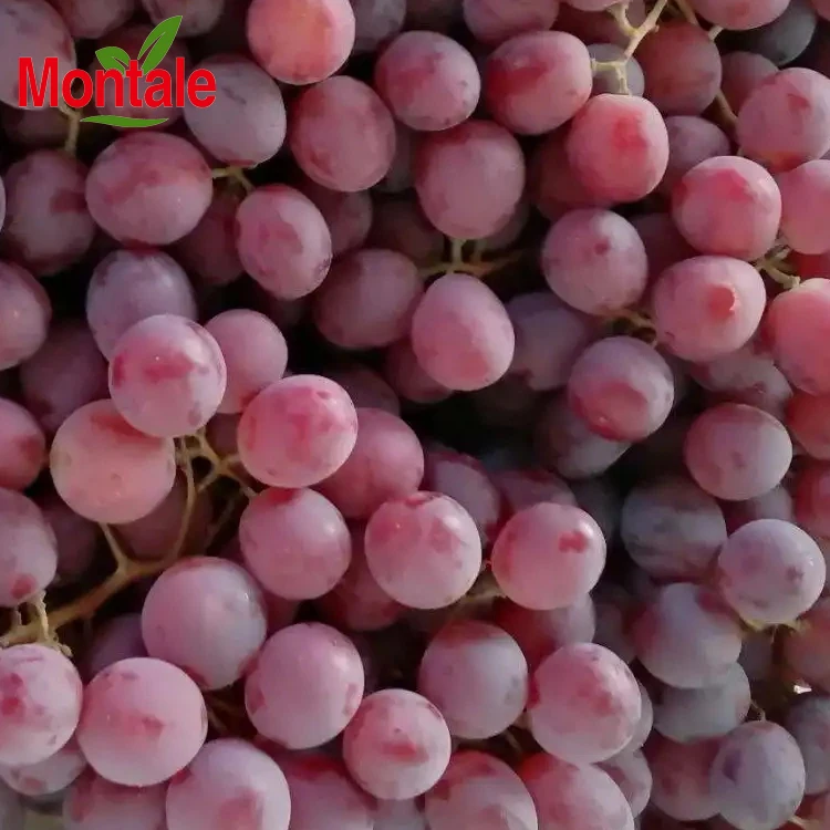 2022 100% natural Wholesale Fresh & Sweet red globe hot selling premium quality grapes fresh