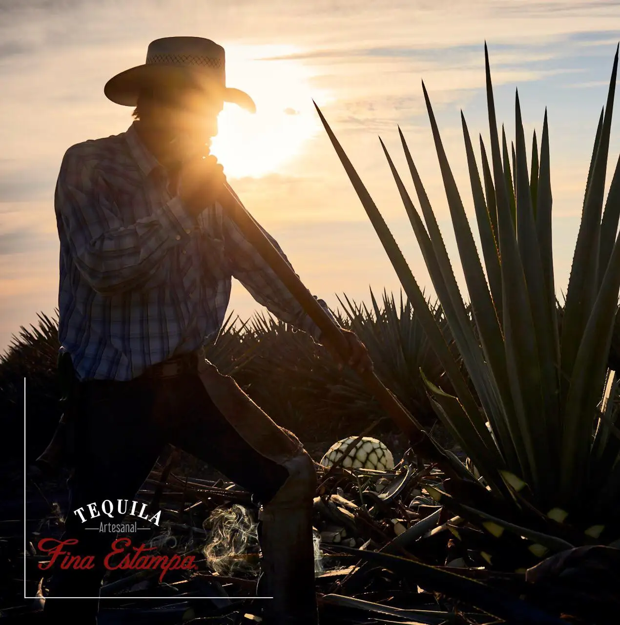 Лучшие сочные бутылки общие продажи на заказ напиток для здоровья бутылка Роскошные алкогольные напитки оптом Премиум Текила цена