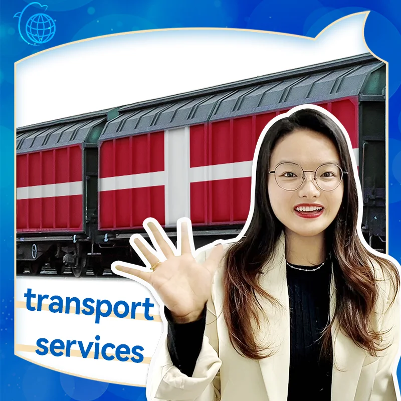 Fast And Stable Amazon FBA DDP Sea Freight FOB Railway Freight Transport to Denmark