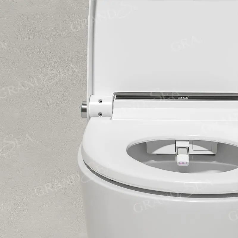 Luxury Floor-Standing Automatic Tankless Smart Bidet Flush Toilet with Smart Care Wash Nozzle with Remote Control