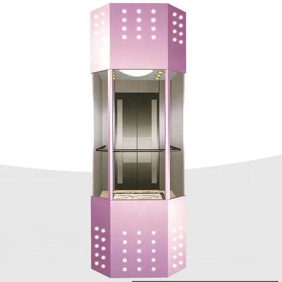 1000kg Apartment Residential Building Outdoor Elevator Price for Panoramic Glass Elevator