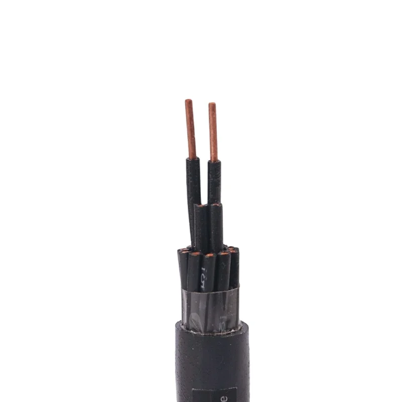  Multi-core 0.6/1kV Copper conductor XLPE insulated PVC sheathed N2XY Control