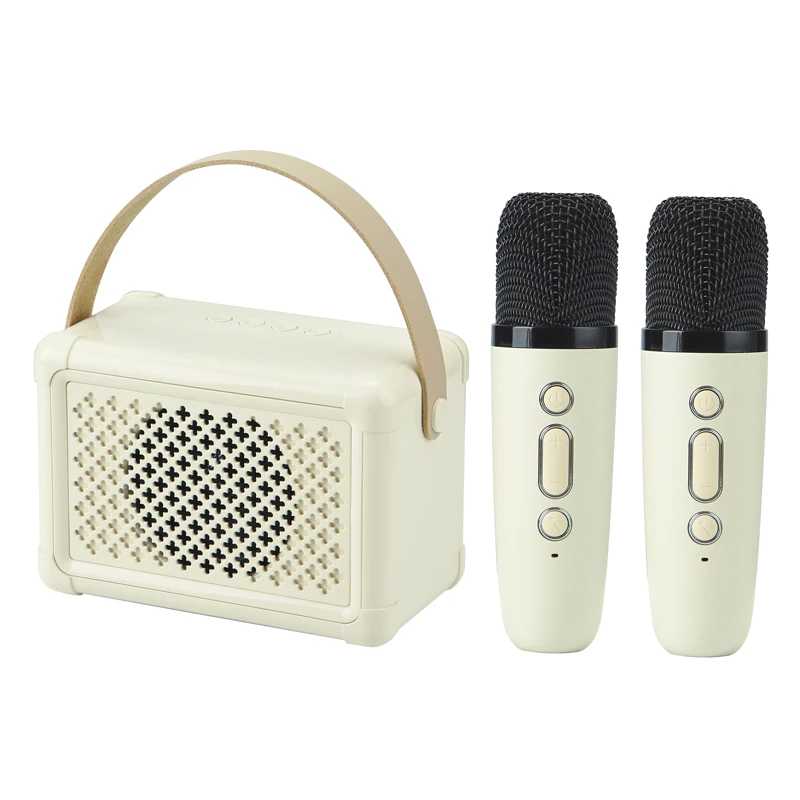 Portable New Stylish Small Party Karaoke Speaker Set With 2 Wireless Microphone