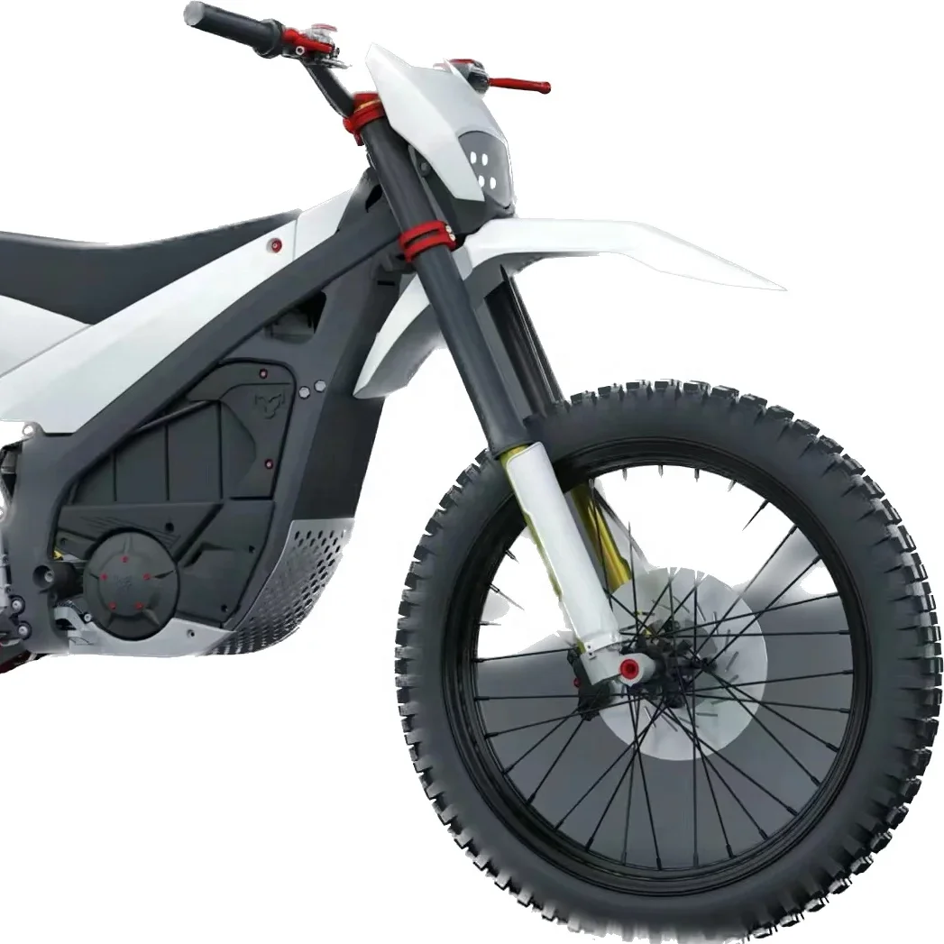CQHZJ Wholesale Bike Electric Motorcycle Electric Motorcycle Arctic Leopard  Snow Leopard E X 700