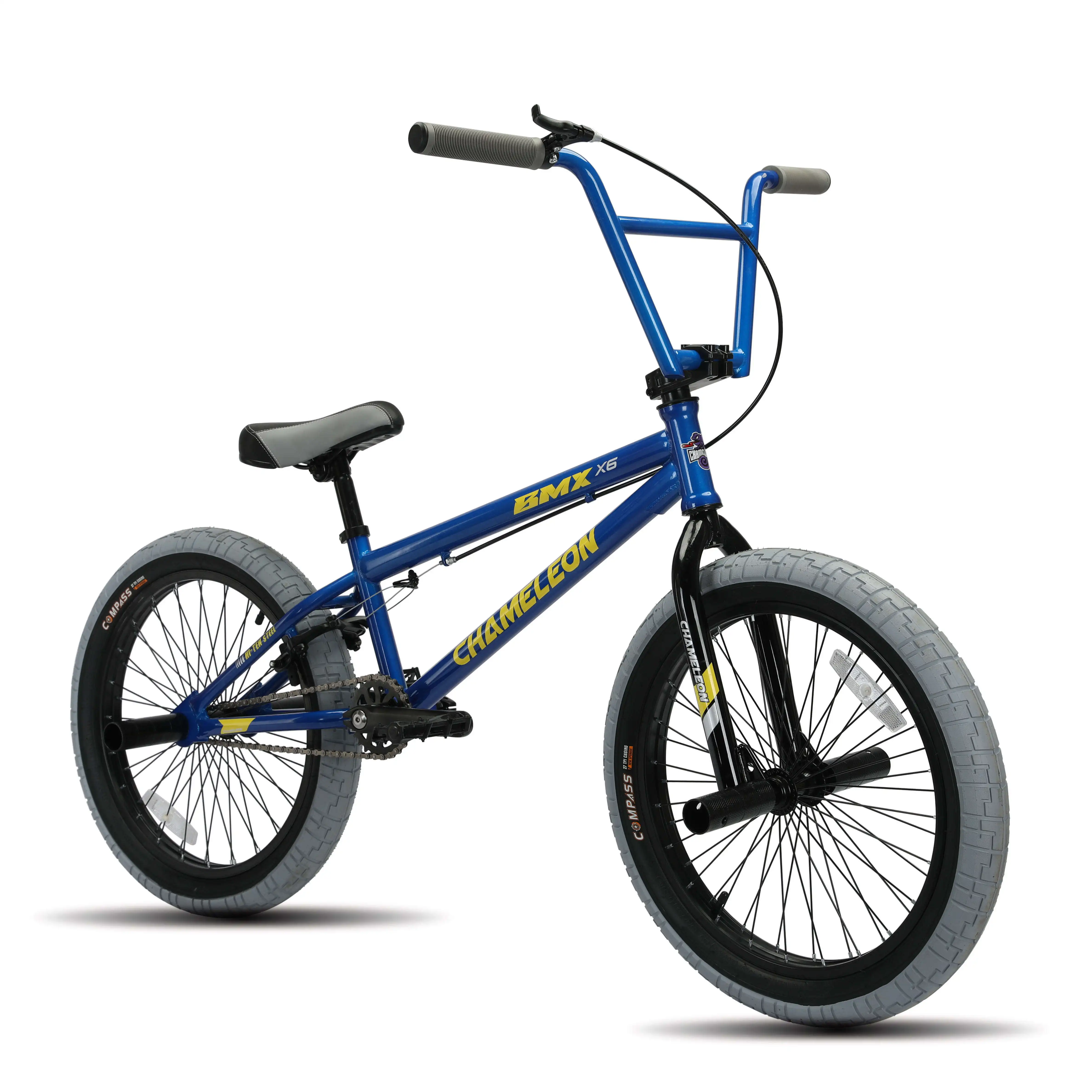 Custom 20 Inch BMX Bike