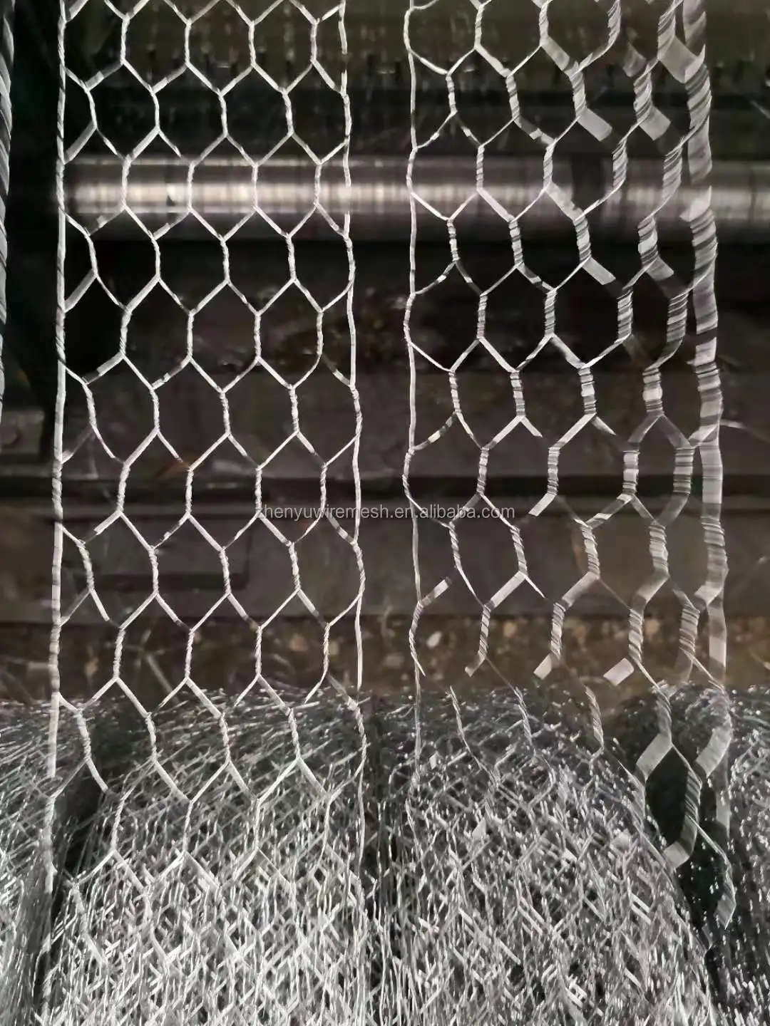 _20191121102621.jpg