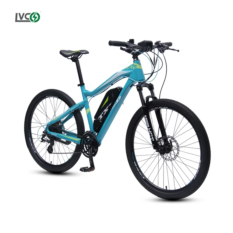 LVCO dolphin hailong 18650 13s5p electric bicycle battery for e-bike dyson hard tail e-bike replacement battery