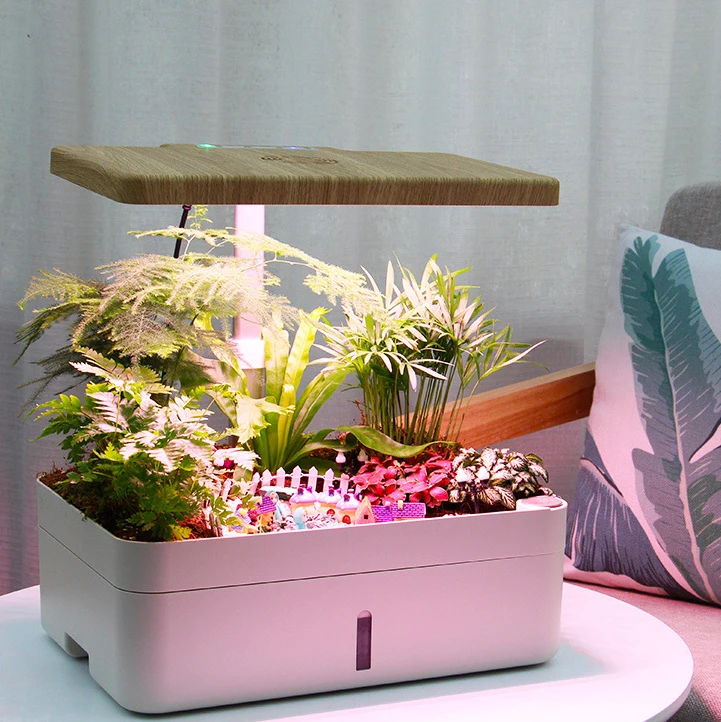 12 Pods Hydroponics Growing System, Smart Garden Planter with LED Grow Light Herb Plants Germination Kit with Pump and grow lamp