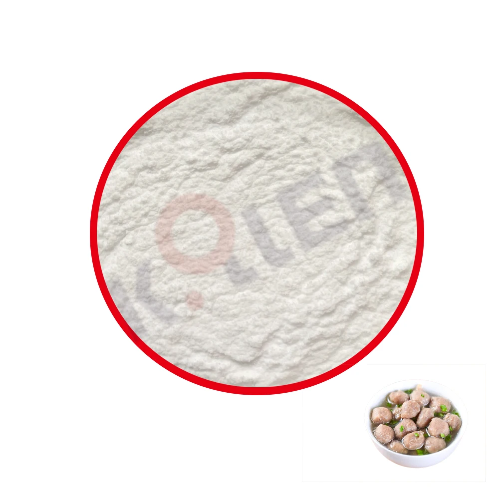 Food Additive Transglutaminase for Meatball soy protein