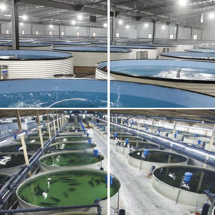 ras fish farming salmon farming fish ras system for shrimp farming
