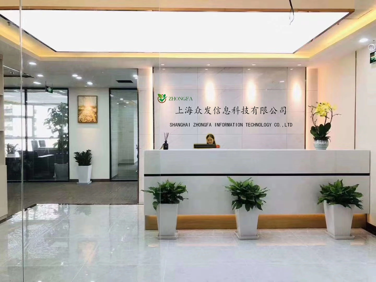 
In stock top quality Microcrystalline Cellulose powder CAS 9004-34-6 