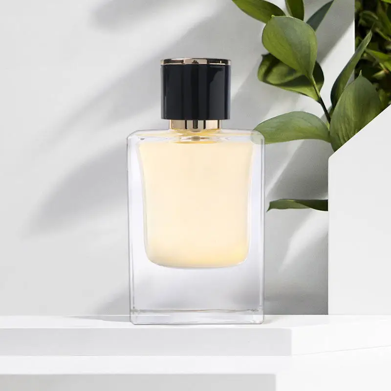 Wholesale Custom Square Perfume Bottles Recyclable 30ml 50ml 100ml Frosted Glass Perfume Bottle with Pump Spray Cap