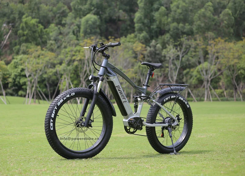 48V 15Ah Lithium Battery Electric Fat Bike 1000W Weldless Aluminum Frame Powerul E Bike