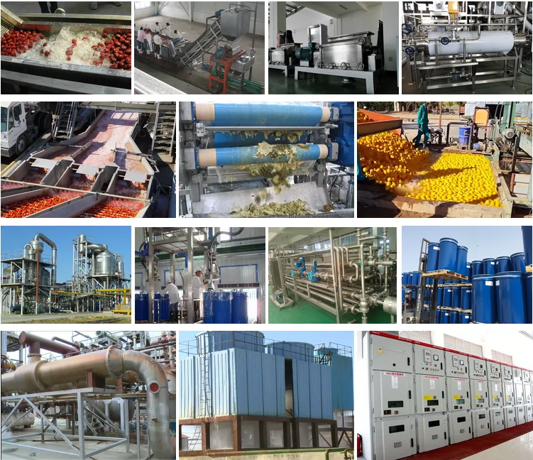 5-6 Tons Multifunctional fruits/ tomato/ mango/ banana/ apple/ pineapple/coconut Processing Line/Plant/Factory and Machines