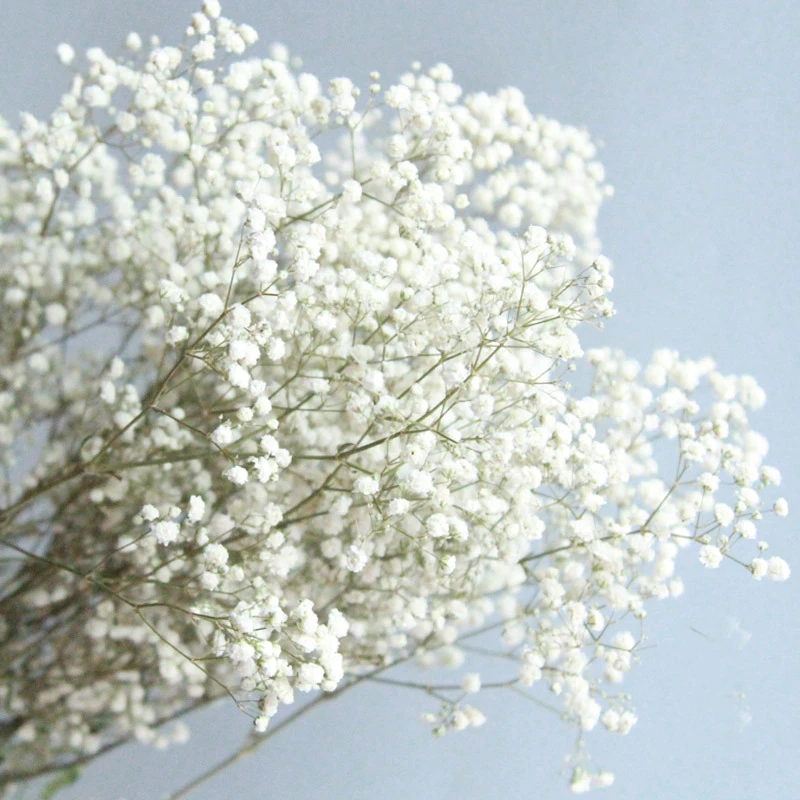 Beautiful Natural Real Touch mini baby breath bouquet baby breath flowers  white
