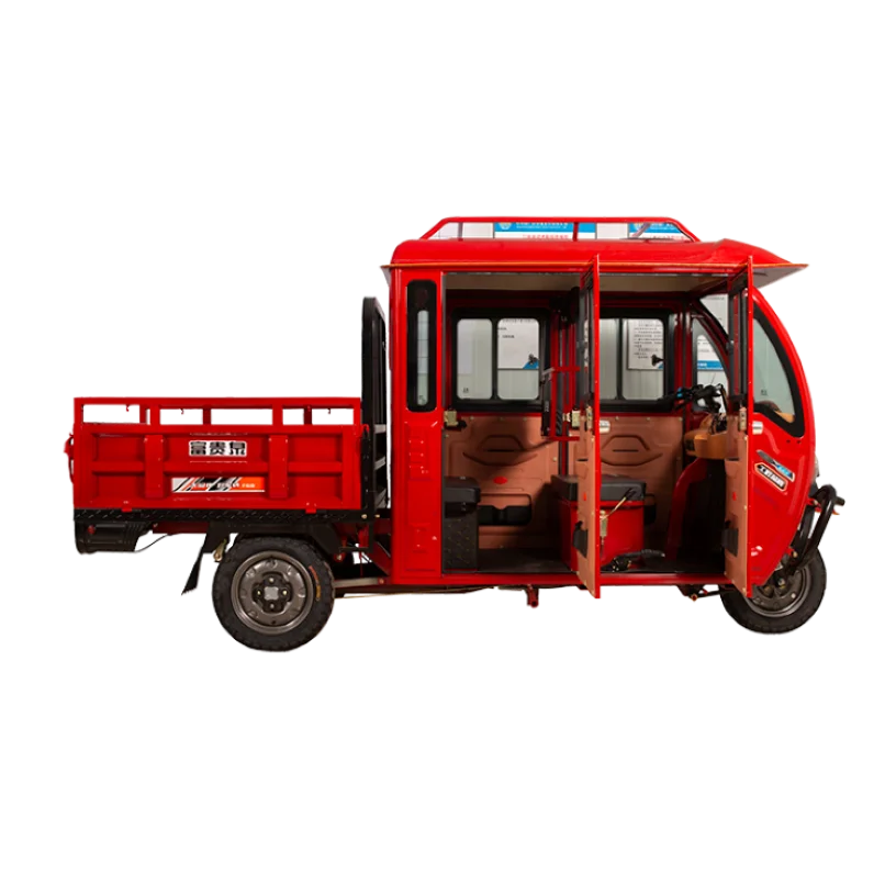 Hot Sell 2  Driver Cab and Hight Load Capacity Tricycle Enclosed Adult 3 Wheels E-rickshaw for Adult Electric Tricycle