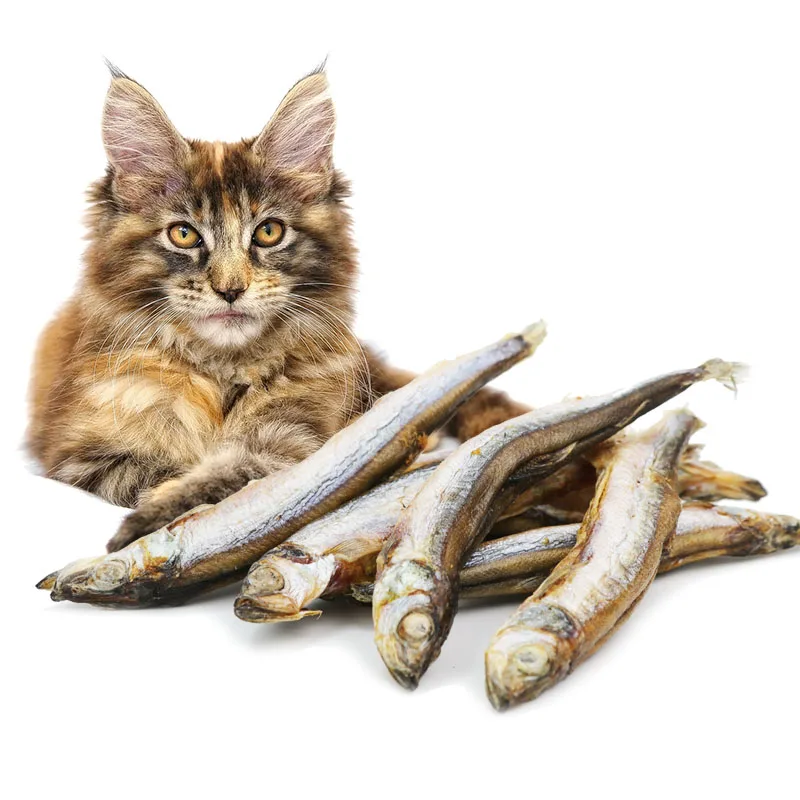 Natural freeze-dried chicken cubes new cat treats freeze dried cat treats snacks