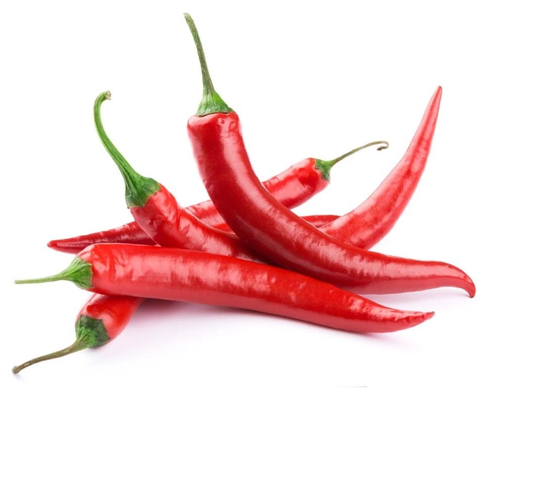 Made in Vietnam Fresh Premium Quality Good Price Low MOQ Custom Logo Package Red Chili