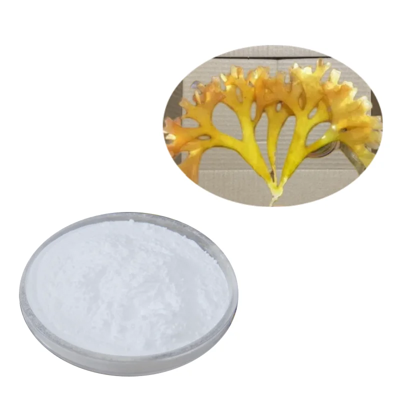 Чистый косметический сорт сырье chondrus crispus (каррагинан) экстракт 98%/порошок каррагинана