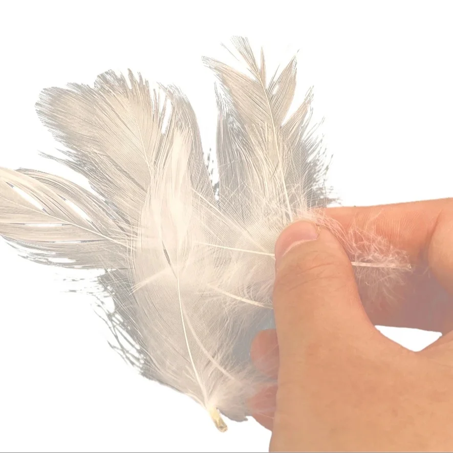 Super soft and odor-free high quality washed 90% duck feather wholesale