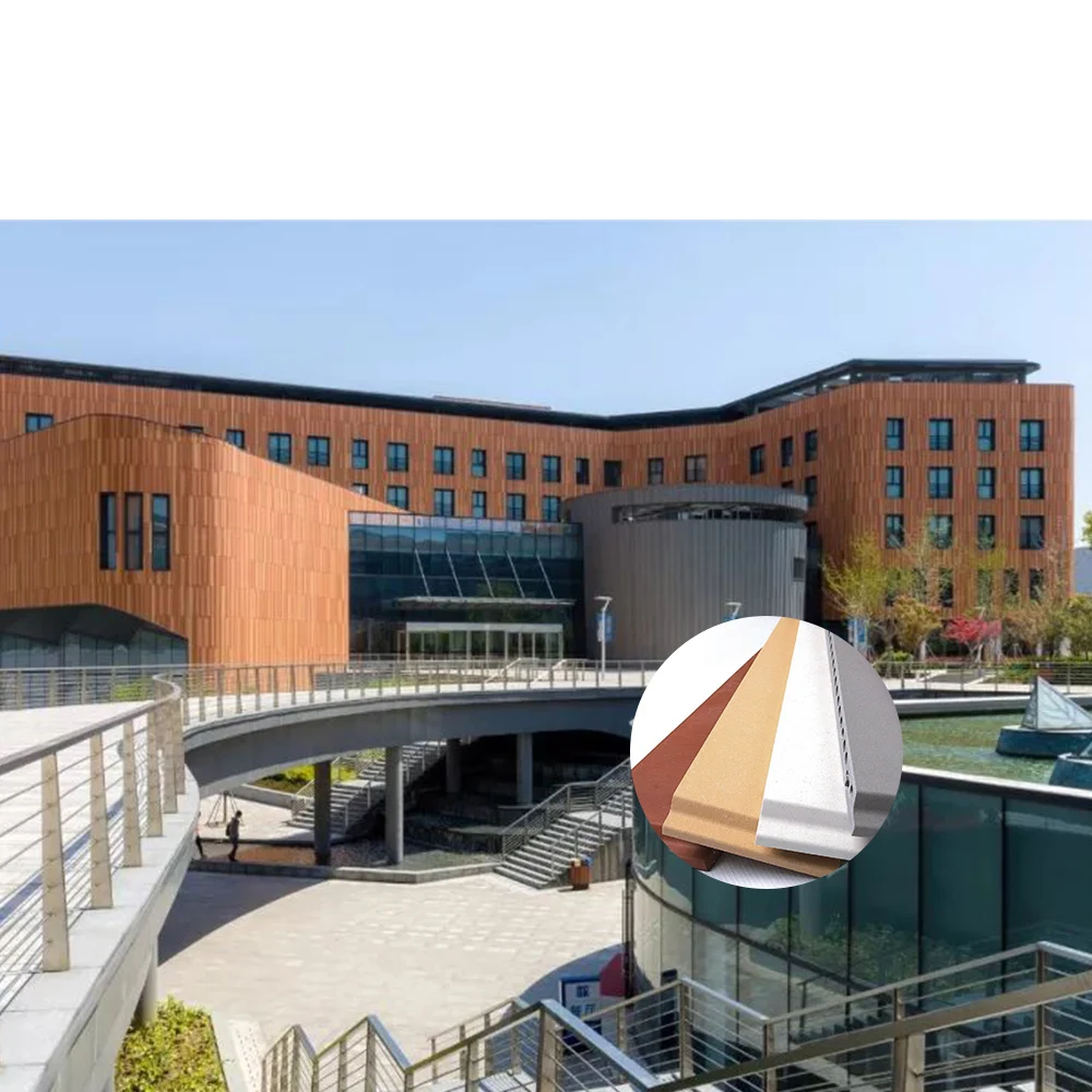 PANELTEK Dry hanging curtain wall terracotta panel ventilated architectural facades for school