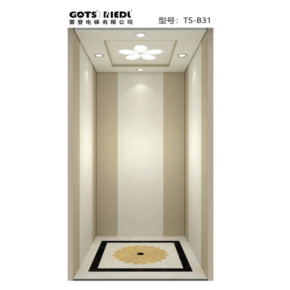 GOTS china elevator small  Otis personal elevator 450KG elevator