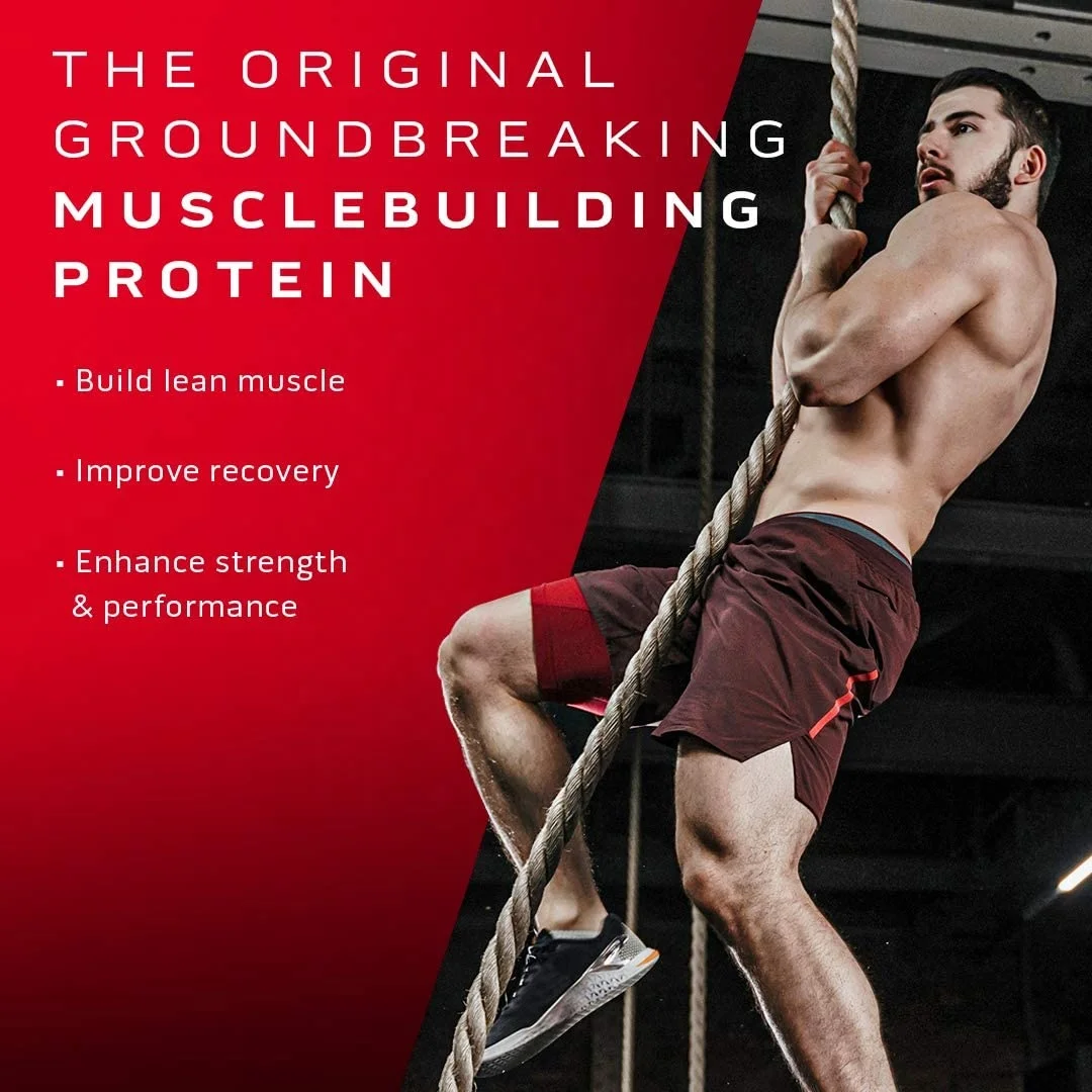 Factory Price Halal Creatine Whey Protein Powder 5lbs Electrolitos Whey Protein Powder for Adults in Capsules Pills Dosage Forms