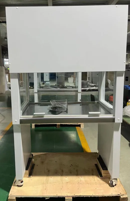 Laboratory Vertical Type Laminar flow cabinet and fume hood