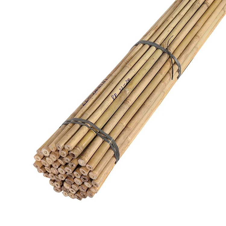 Chinese bamboo pole  dia.22/24mm x 305cm for plant support