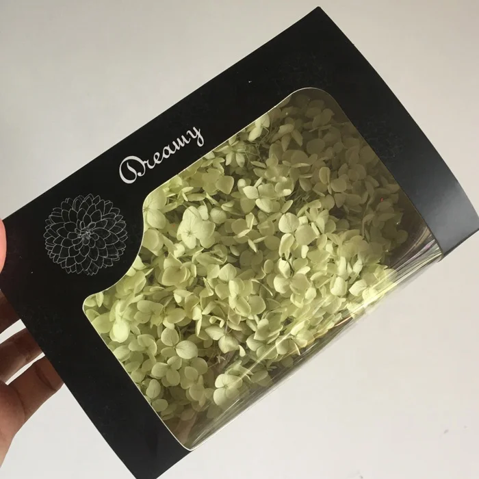 natural longlasting dried hydrangea flowers in boxes