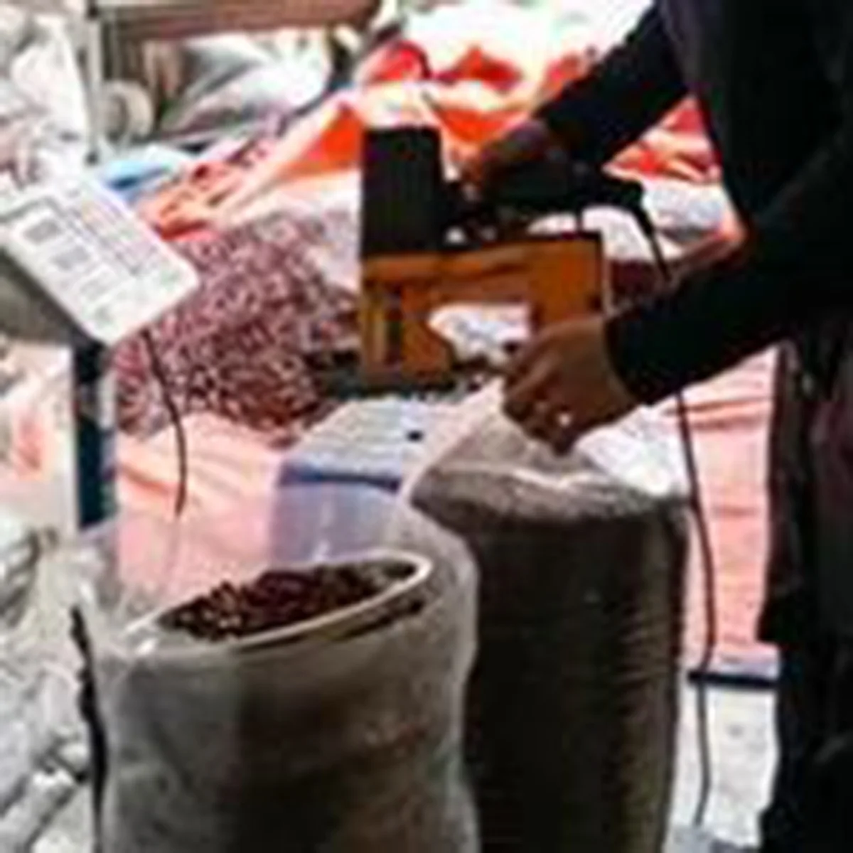 Жареный арахис прямые продажи молотый орех гигантский сырой бланшат жареный с семенами арахиса для