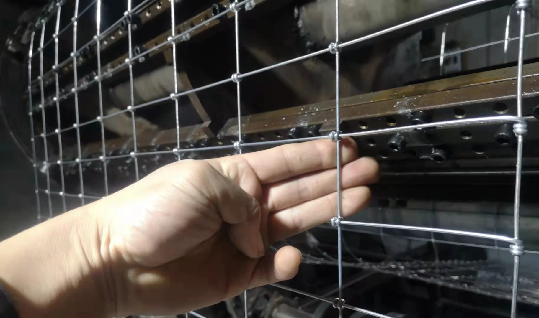 Low Price Galvanized Horse Mesh Rolls Square Deal Knotted Wire Mesh 12-1/2 GA  Non Climb Stay Fence