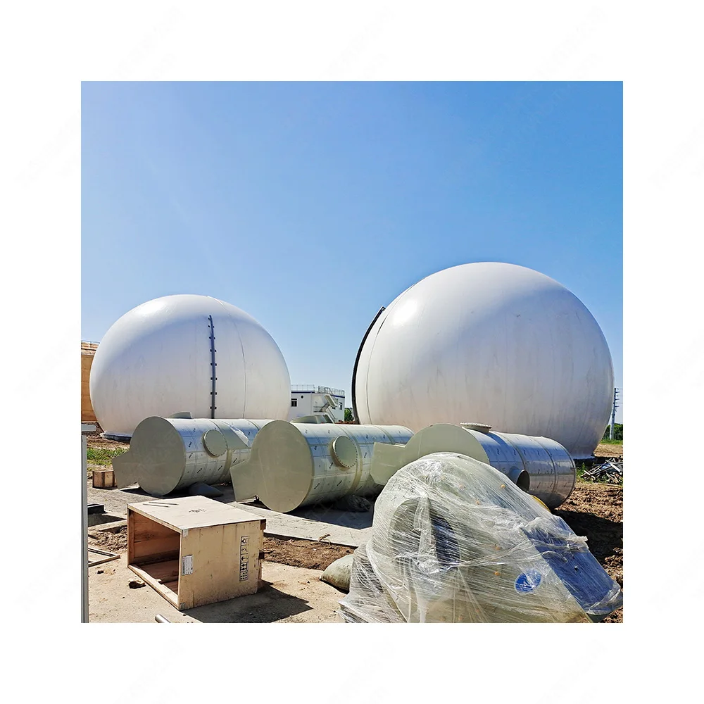 Factory Sale Double Membrane Biogas Balloon used as Biogas Holder pig pan farm biogas plant