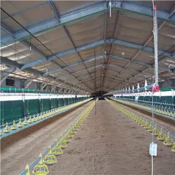 Good Design Modern Prefab Poultry Farming Shed Building Chicken Farm House
