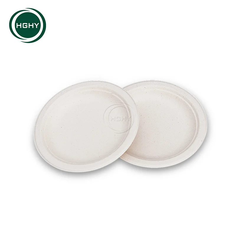 Eco-friendly Biodegradable Compostable Sugar Cane Plate Sugarcane Pulp Bagasse Plate Tableware