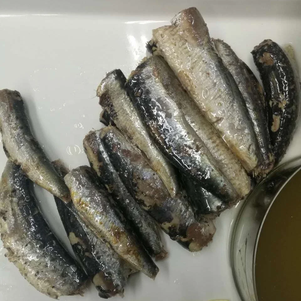 Good Quality Fish Canned Sardine In Tomato Sauce Natural Oil Brine