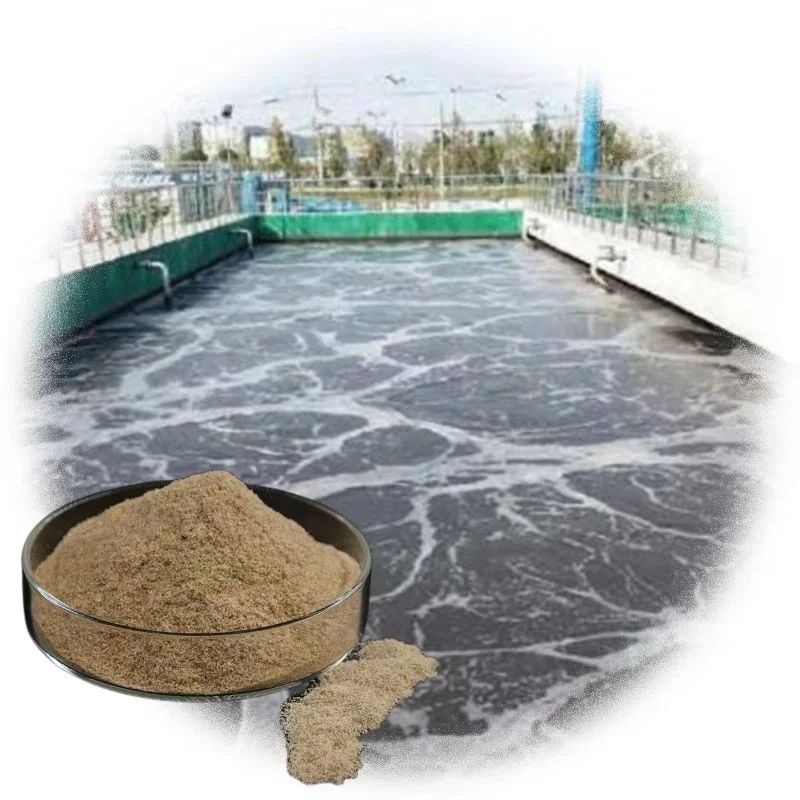 Bio Oil-resistant Oil Decomposing Bacteria Degrade Organic Waste Food Waste Treatment