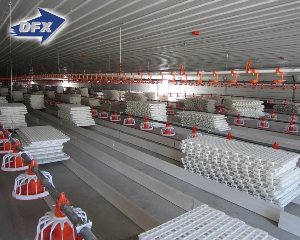 Prefabricated Insulated Steel Structure Cowshed Stable Barn Chicken House from Qingdao China