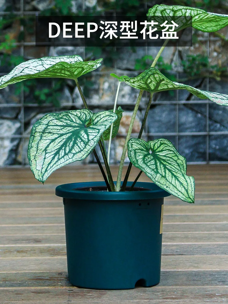 Circular tall indoor square plastic flower with drainage holes pots for plants small flower plant indoor pot