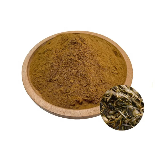 10:1 ascophyllum nodosum polvo for fertilizer