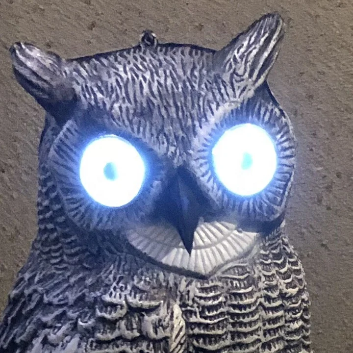 Pest repellent Solar Powered eyes glow Plastic  Owl decoy  to scare bird Plastic Owl Crow Bird Scare