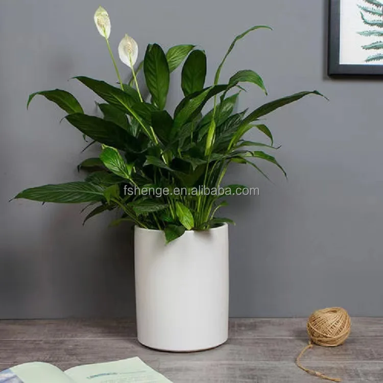 Modern outdoor concrete large planter molds cement clay pot fiberglass pots for plants