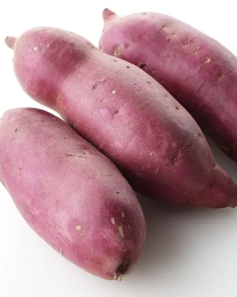 Highly Suggestion For The Purple Sweet Potato Made In Vietnam With 3 Months Maturity Have COMMON Cultivation Type