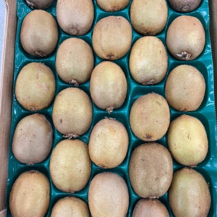 Premium Fresh Green Kiwifruit Organic Standard green kiwi fruit