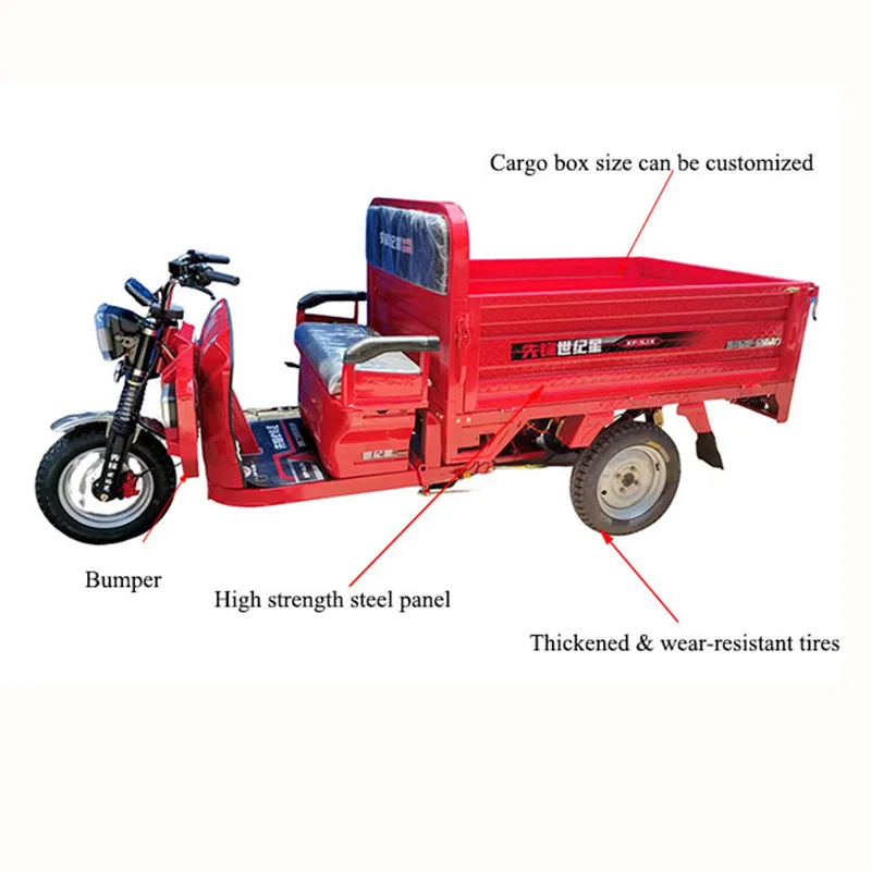 Powerful Motor Farm Use 2000W Motor 60V45Ah Lead Acid Battery Electric Pedicab Cargo Electric Tricycle